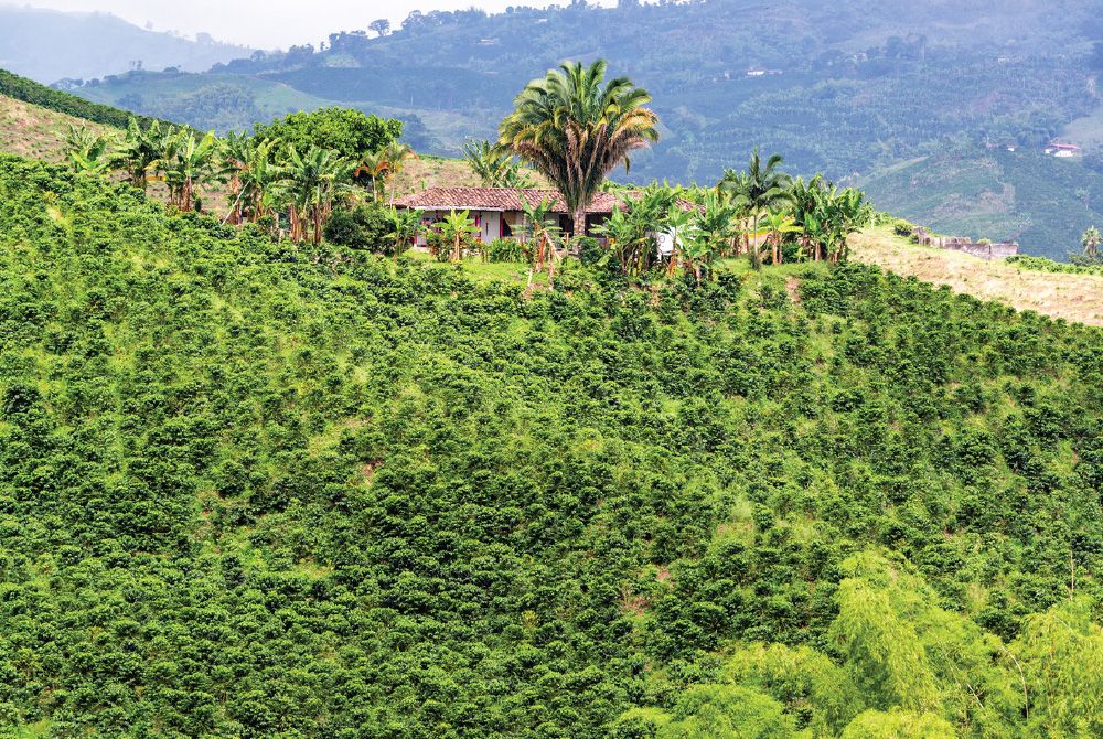 Manizales by Ecuatraveling