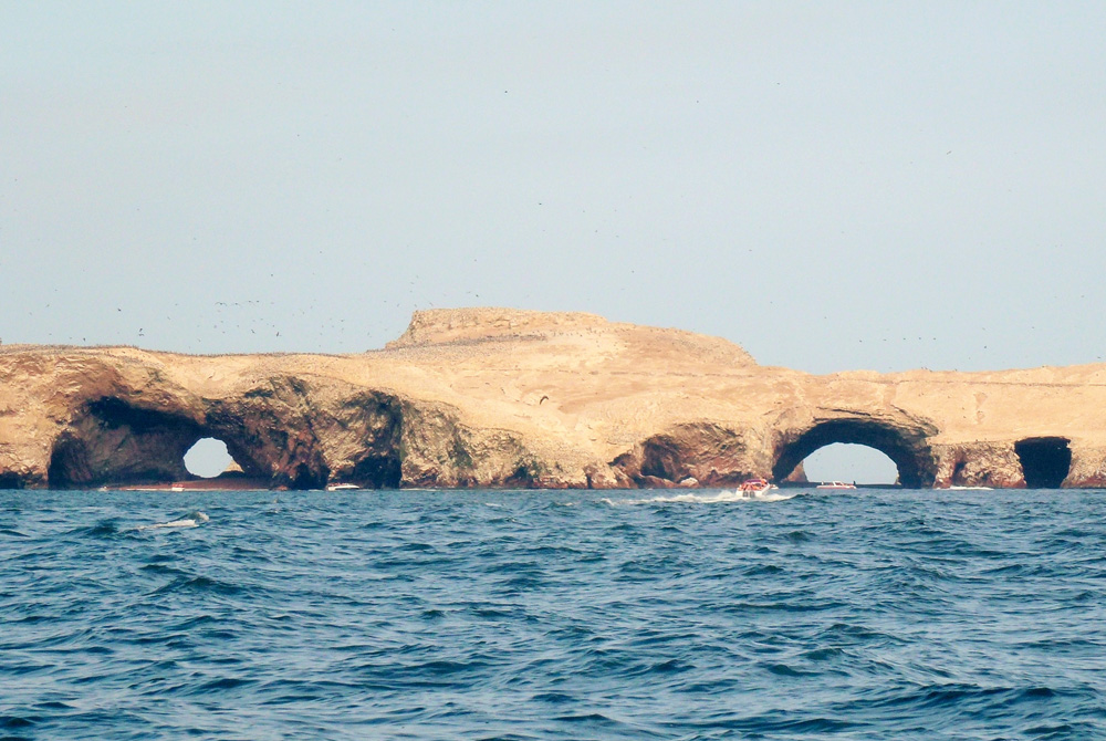 Ballestas Island & Paracas national reserve by Ecuatraveling